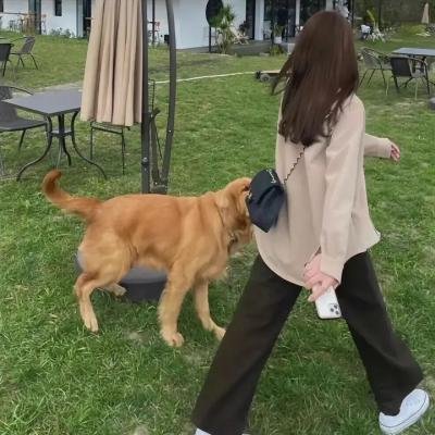 网络剧/短剧
